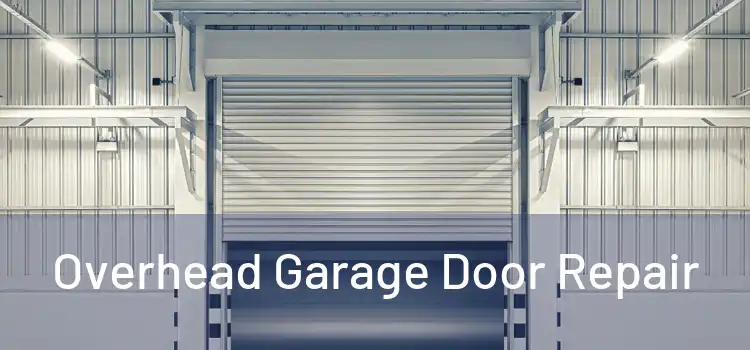  Overhead Garage Door Repair 